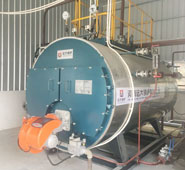 2 ton WNS Diesel Fired Boiler for Laundry in Kuwait