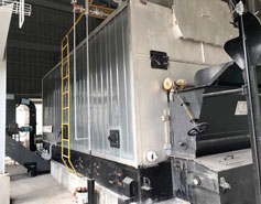 DZL 6000 Kg Hr Coal Boiler for Feed Plant