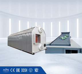 Reciprocating Grate Biomass Boiler