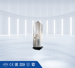 LSG vertical wood biomass boiler