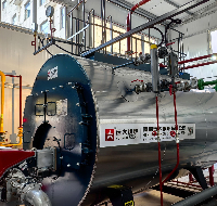 3 Ton Natural Gas Steam Boiler Used for Food Factory In Algeria