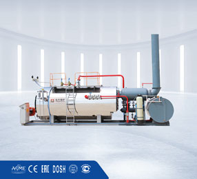 Pre installed Skid Mounted Steam Water Boiler