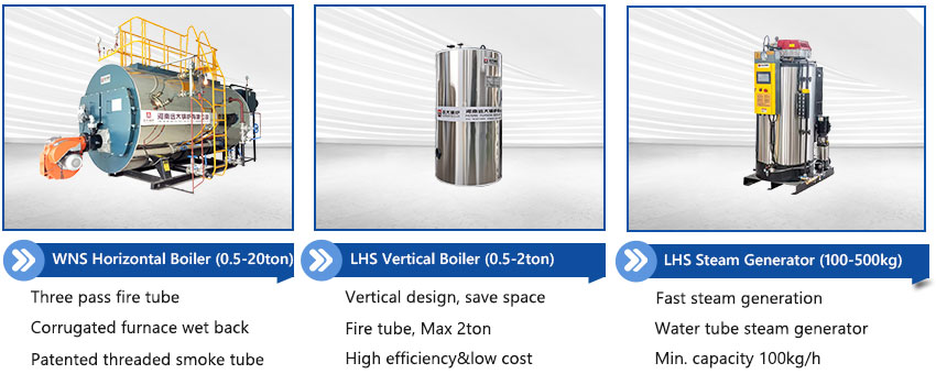 2ton 1.5ton 1ton 500kg 300kg 200kg steam boiler for gas oil fuel