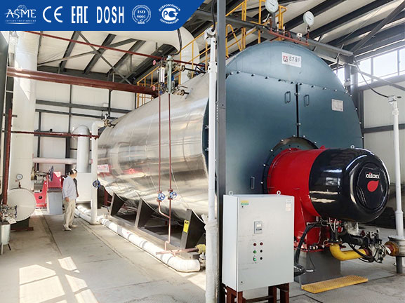 10ton hospital steam boiler