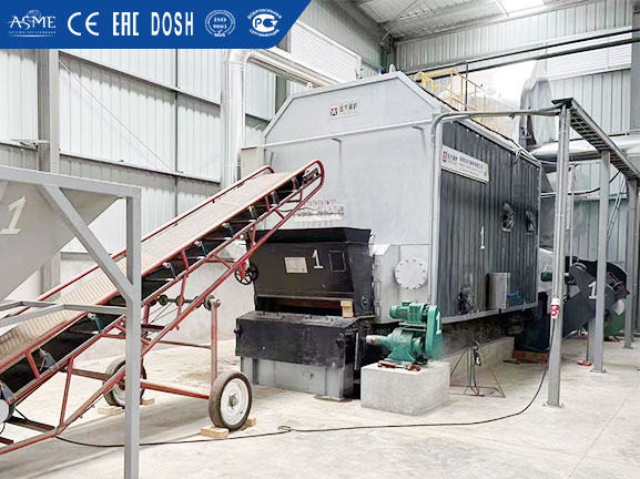 biomass wood fired thermal fluid boiler
