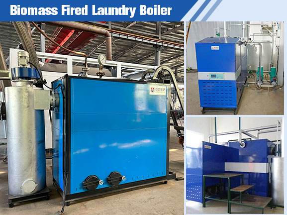 biomass fired boiler for laundry 