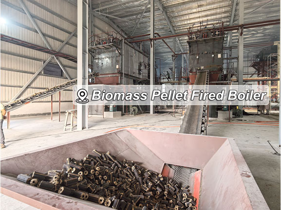 biomass fuel steam boiler