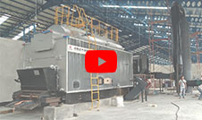 DZL Horizontal Chain Grate Coal Steam Boiler