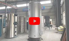 LSG Vertical Fixed Grate Coal Firewood Jute Boiler