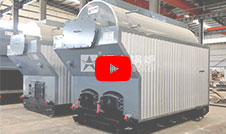 DZH Manual Feeding Traveling Grate Biomass Boiler