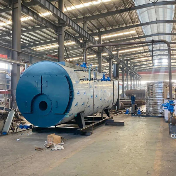 5ton-8ton-portable-oil-steam-boilers-preliminary-installation-before-shipment.jpg